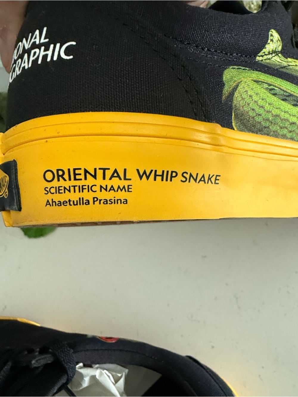 National Geographic Mens Photo Ark Black & Yellow Shoes Snake & Frog Design - Picture 15 of 16